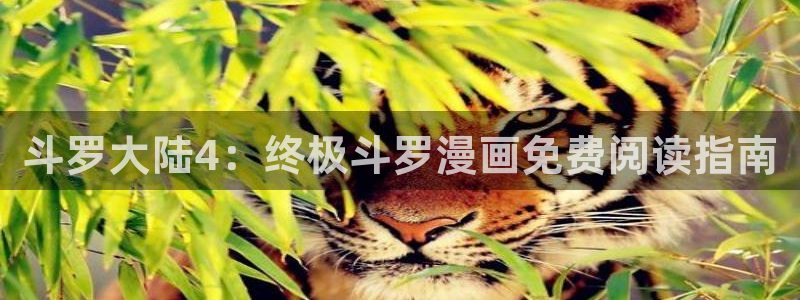 看韩漫漫画的软件推荐：斗罗大陆4：终极斗罗漫画免费阅读指南