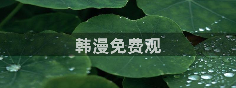 羞羞歪歪漫画韩漫：韩漫免费观