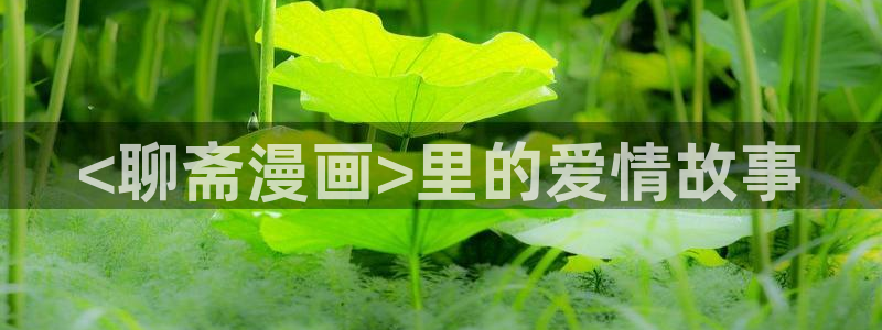 免费韩漫漫画大全：<聊斋漫画>里的爱情故事
