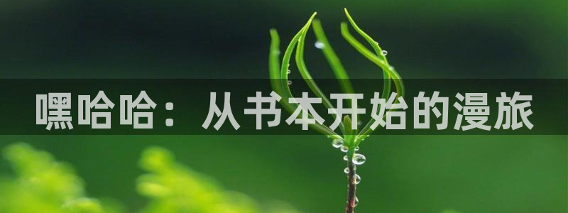韩漫视频漫画：嘿哈哈：从书本开始的漫旅
