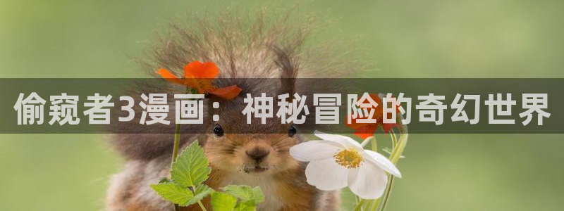 免费韩漫在线看：偷窥者3漫画：神秘冒险的奇幻世界