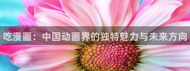 韩漫画全彩：吃漫画：中国动画界的独特魅力与未来方向
