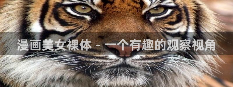 韩漫在线观看免费漫画入口男男：漫画美女裸体 - 一个有趣的观察视角