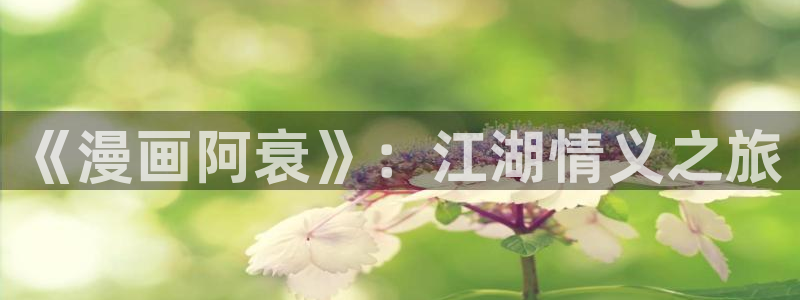 99韩漫官网：《漫画阿衰》：江湖情义之旅