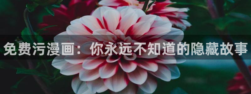 哪里可以免费看韩漫：免费污漫画：你永远不知道的隐藏故事