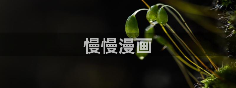 歪歪漫画韩漫在线看：慢慢漫画