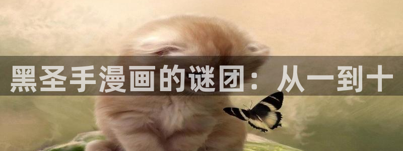 漫小肆韩漫：黑圣手漫画的谜团：从一到十