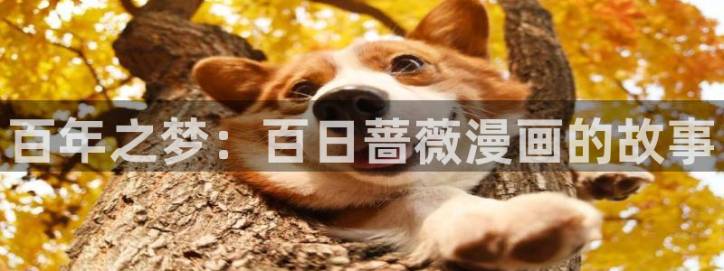 免费看韩漫污`羞羞的漫画无删减：百年之梦：百日蔷薇漫画的故事